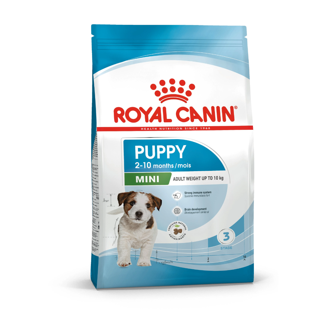 royal mini puppy 01